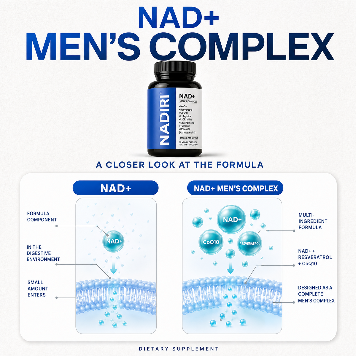 The three blends in NADIRI NAD+ Complex and liposomal delivery